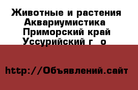 Животные и растения Аквариумистика. Приморский край,Уссурийский г. о. 